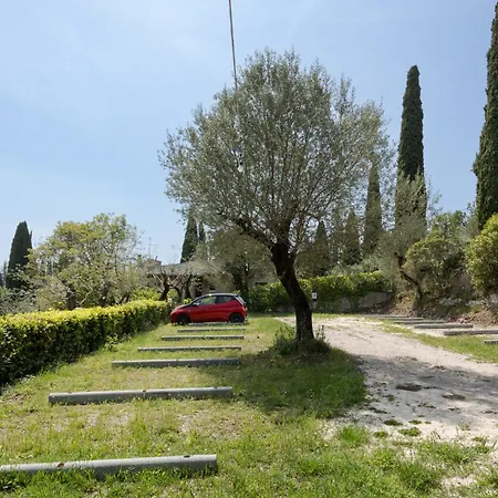 Serenella